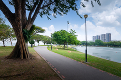 Lagoon View (D15), Apartment #489301181